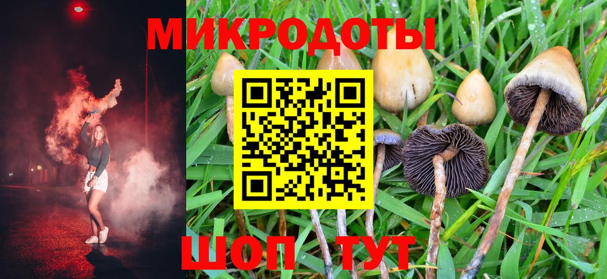 Екатеринбург  Псилоцибиновые грибы Magic Shrooms  наркота  Вход с VPN 